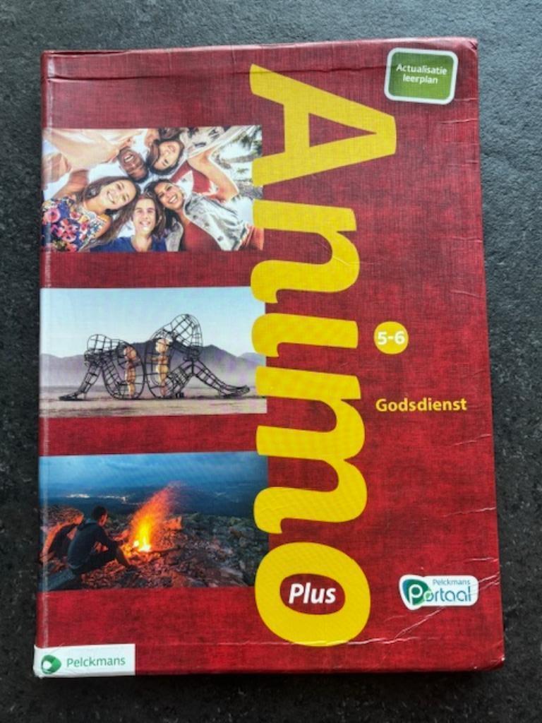 Animo 5-6 Plus Handboek, Boeken, ASO, Godsdienst en Levensbeschouwing, Pelckmans, Ophalen
