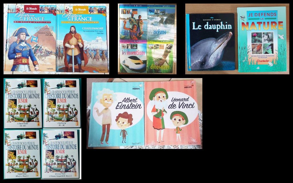 Divers livres pédagogiques, Meerdere stripboeken, Ophalen of Verzenden, Gelezen