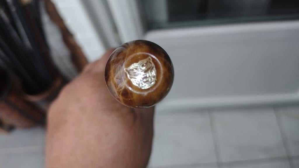 Canne ( jaguar), Antiquités & Art
