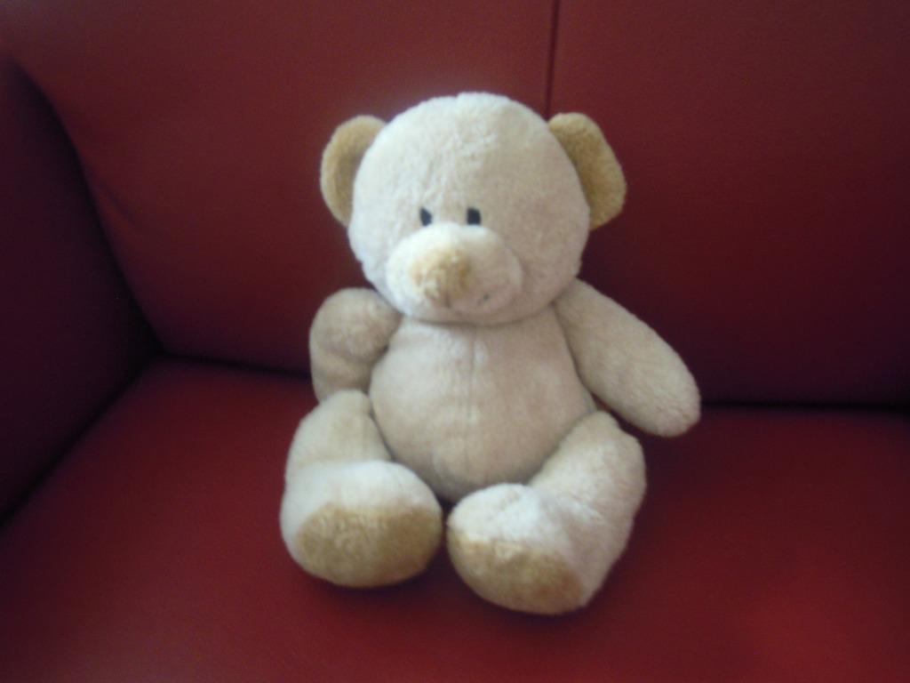 knuffel nicotoy beer (pamperdoos), Ophalen of Verzenden, Nieuw, Beer