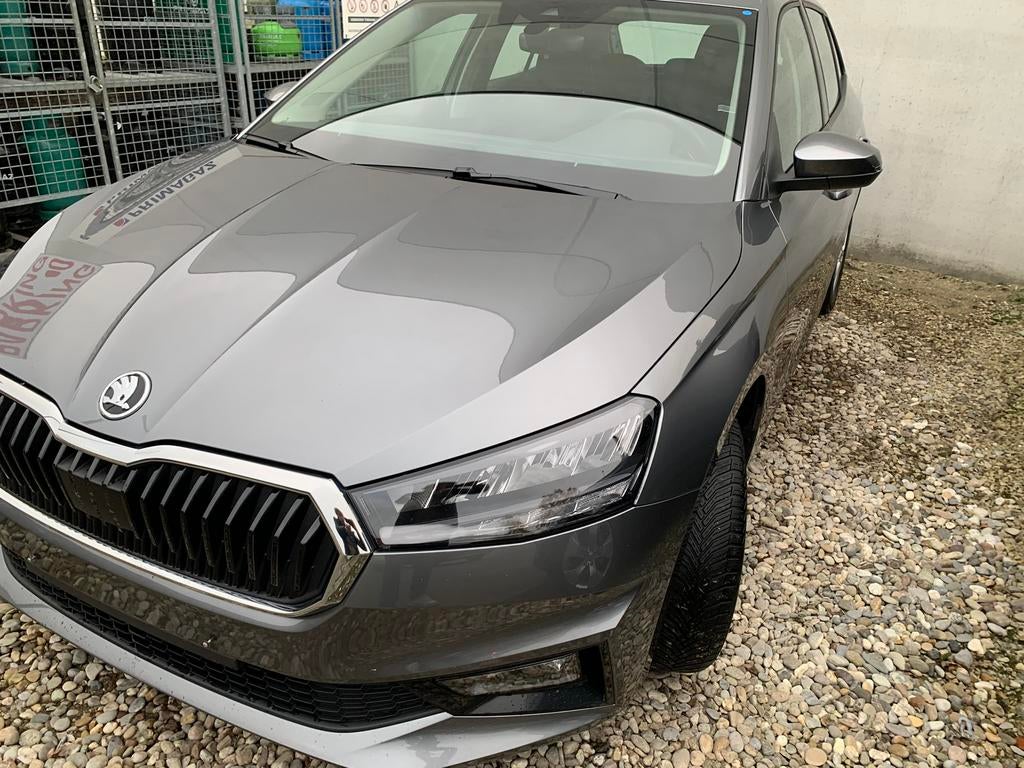 Skoda Fabia 1,0 Tsi Ambition automaat Dsg + Smartlinck +++, Auto's, Testrit aan huis, Stof, Euro 6, 5 zetels