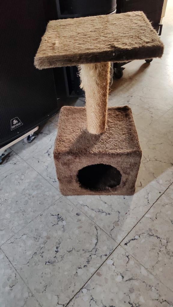 Petit arbre à chat, Enlèvement