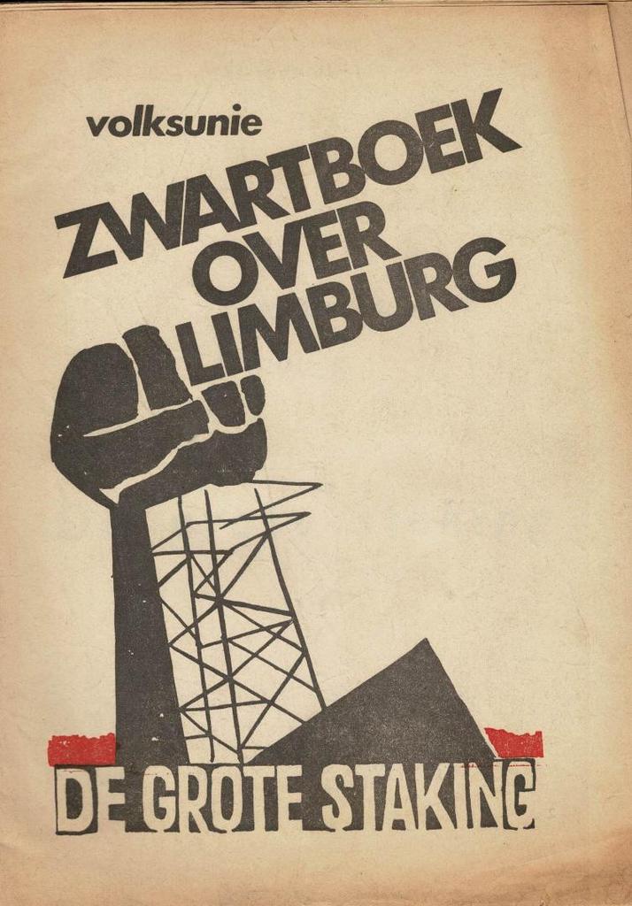 Volksunie. Zwartboek over Limburg. De grote staking., Ophalen of Verzenden, Gelezen