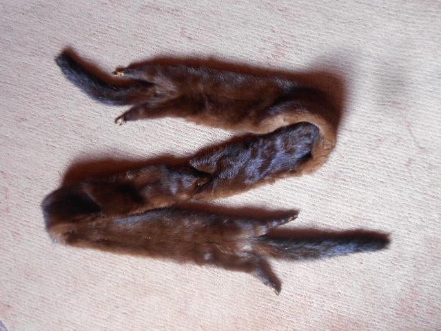 nerts, mink,  perfekte staat 20 €, Ophalen of Verzenden, Zo goed als nieuw, Sjaal