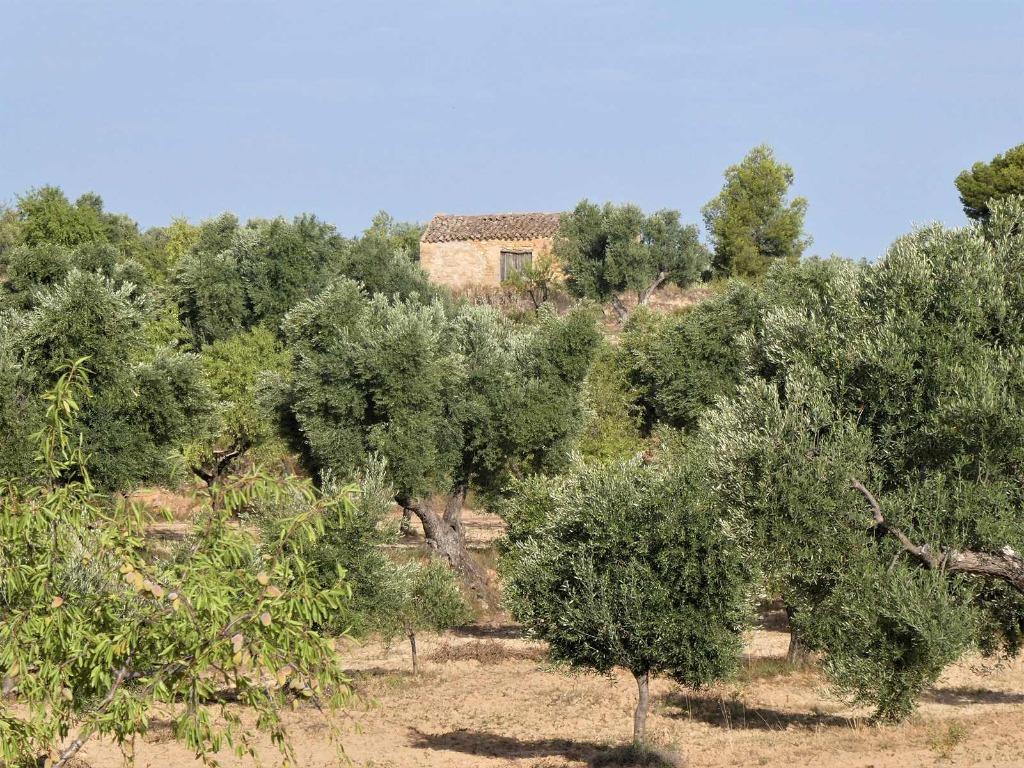 Finca in Maella (Aragon, Spanje) - 0935, Immo, 74 m², Overige soorten, Spanje, Landelijk