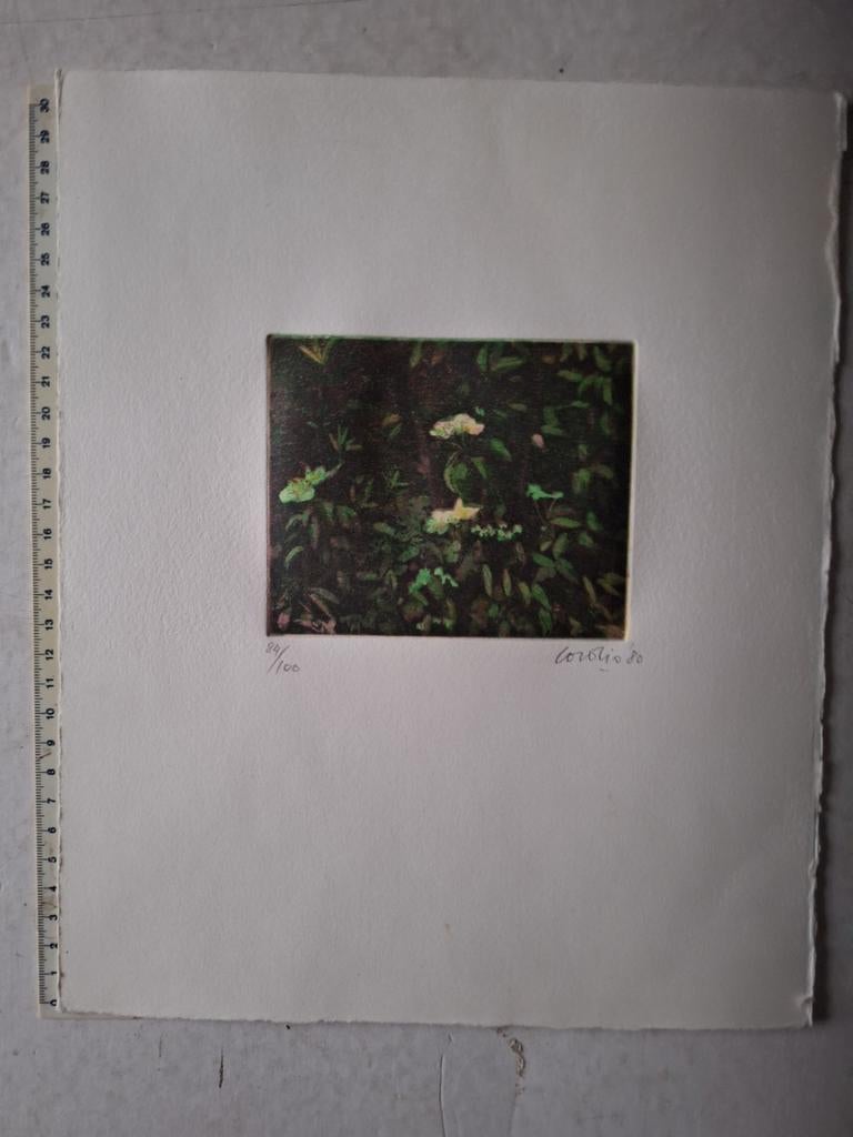 Gravure en couleur « Fiori » (fleurs) de Nino Cordio de 1980, Enlèvement ou Envoi, Eau-forte, Numéroté