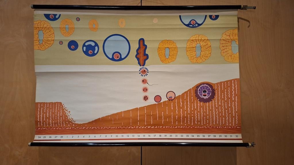 Vintage schoolplaat biologie, Antiek en Kunst, Ophalen, Natuur en Biologie