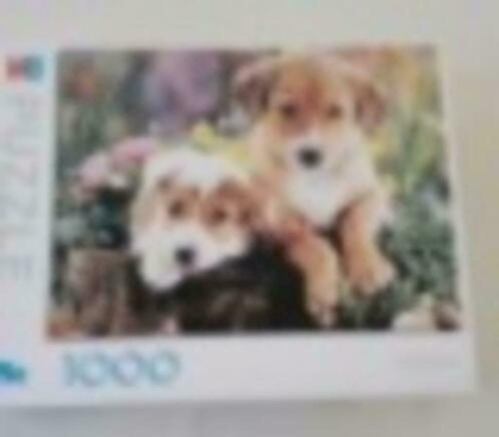 puzzel puppy's 1000 stukken Mb, Enlèvement ou Envoi, Plus de 50 pièces, Utilisé