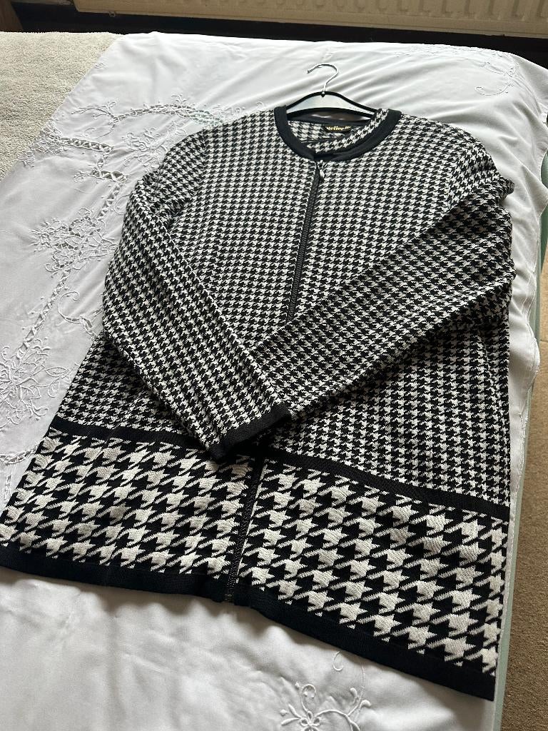 Cardigan en bijhorende pull, Kleding | Dames, Ophalen, Nieuw, Maat 46/48 (XL) of groter, Overige kleuren