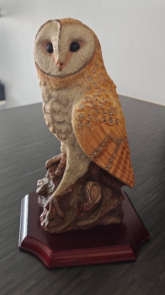 Uilen, Ophalen of Verzenden, Dier