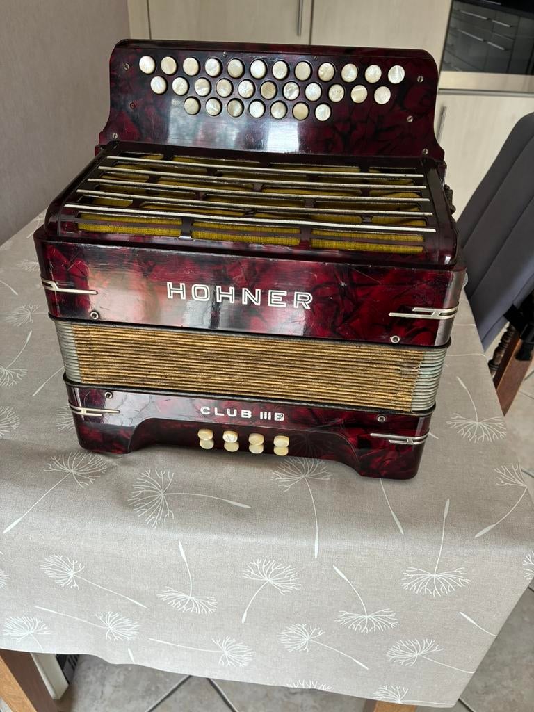 Accordeon Hohner, Musique & Instruments, Accordéons, Avec bretelles, Enlèvement, Utilisé, Accordéon à boutons