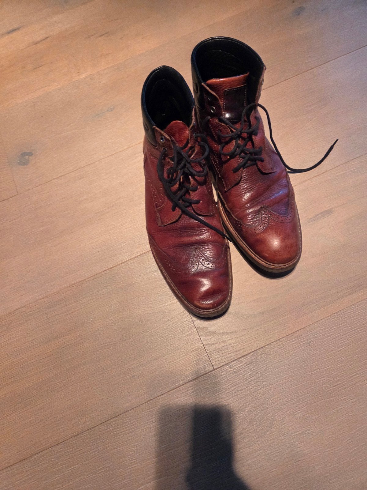 van Bommel, Vêtements | Hommes, Floris van Bommel, Chaussures à lacets, Brun, Enlèvement