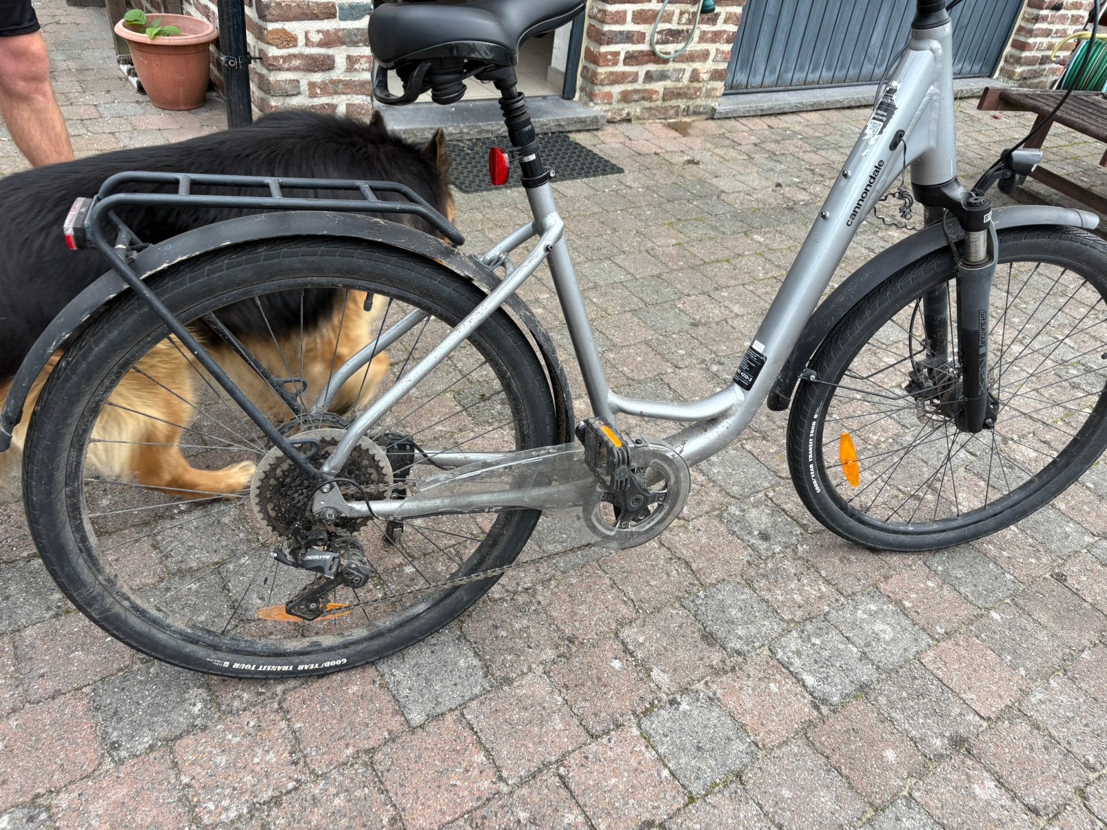Cannondale damesfiets – rijklaar, Versnellingen, Zo goed als nieuw, Schijfrem, Ophalen