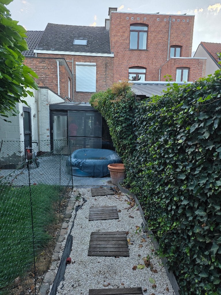 tuinonderhoud, Jardin & Terrasse, Enlèvement ou Envoi, Autres espèces, 100 à 250 cm