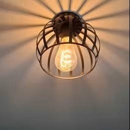 Industriële plafondlampen, Huis en Inrichting, Ophalen, Zwart, Zo goed als nieuw, Plafondlamp