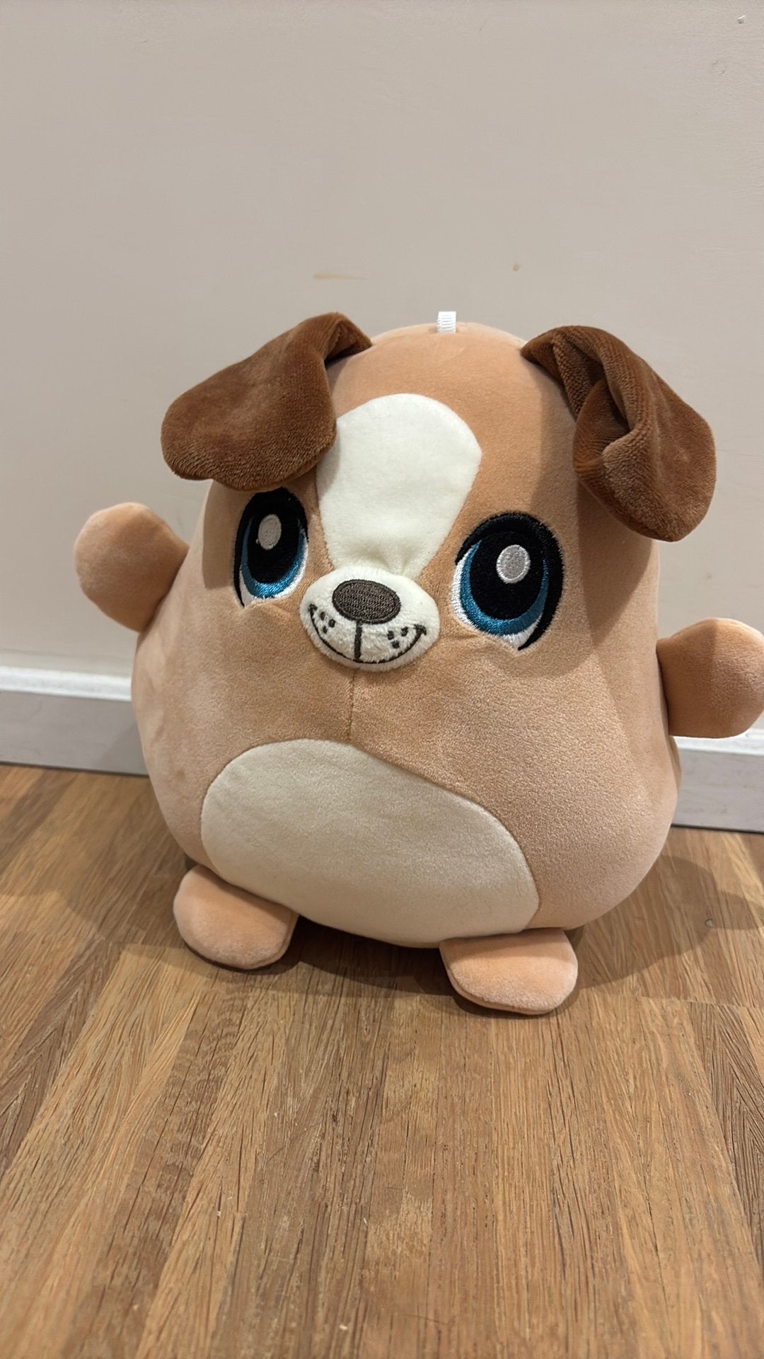 Knuffeltje hond, Ophalen, Nieuw