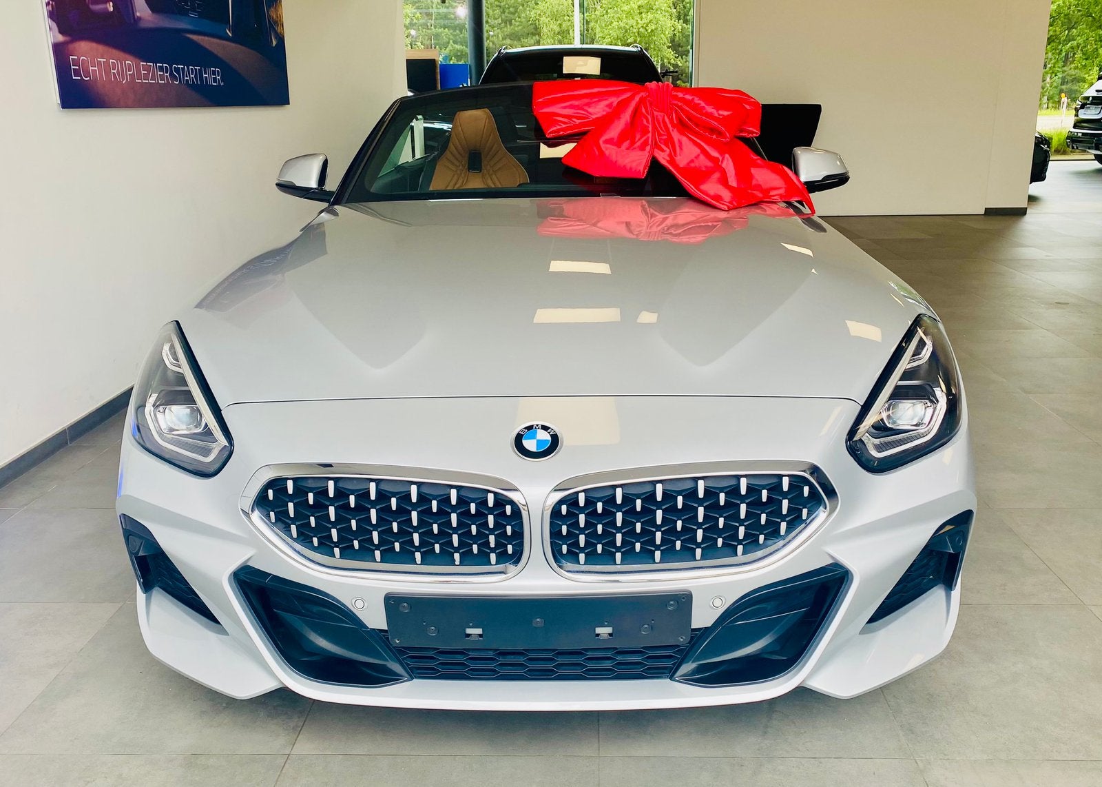 Calandre origine BMW Z4 « Diamants », Enlèvement, BMW