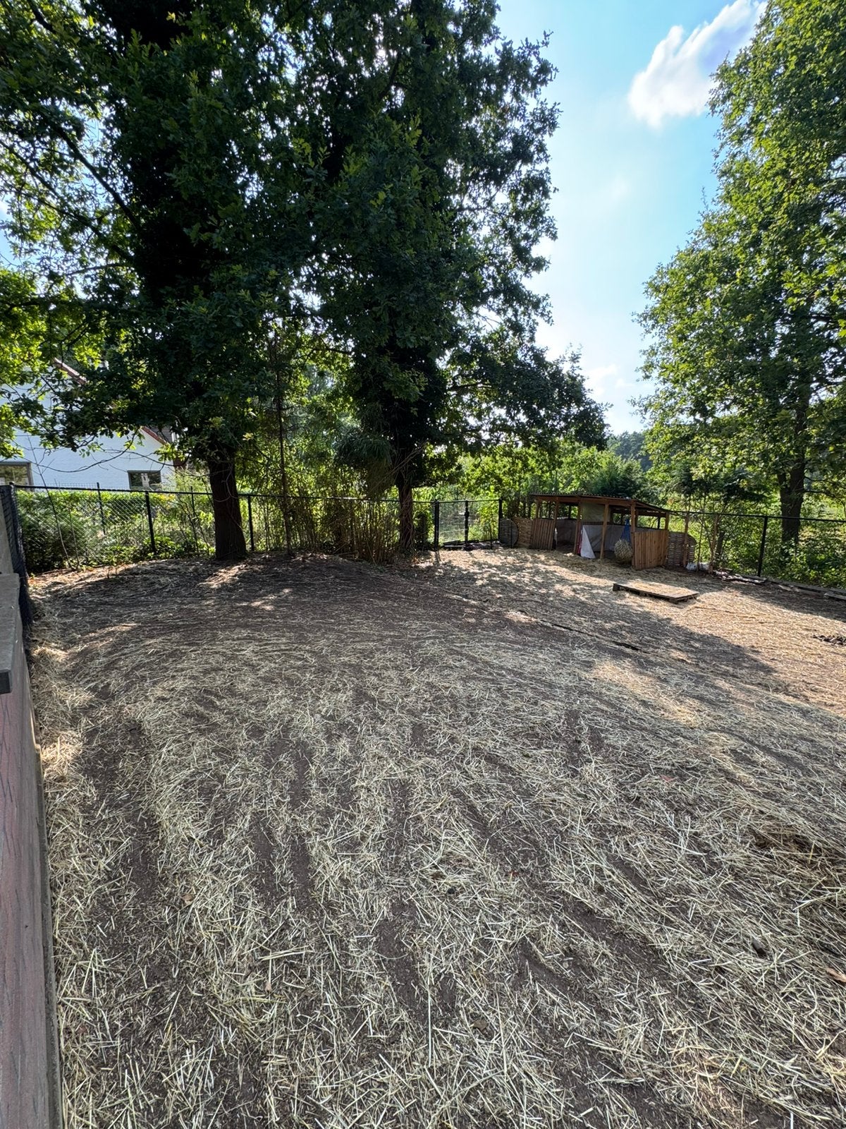 Plek vrij op pony paddock, Weidegang, 1 paard of pony