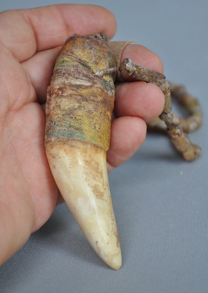 Imitatie tijgertand met ketting - Cambodja - 21e eeuw, Antiek en Kunst, Ophalen of Verzenden
