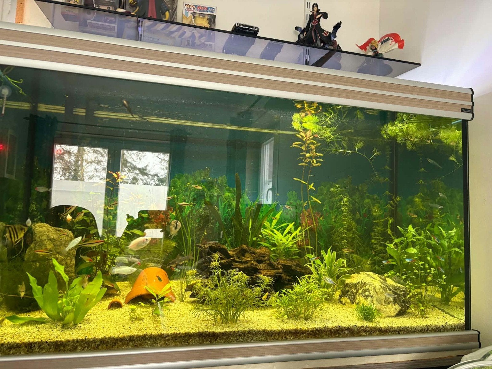 aquarium aquatlantis Fusion 120, Enlèvement, Accessoires inclus, Utilisé, Aquatlantis