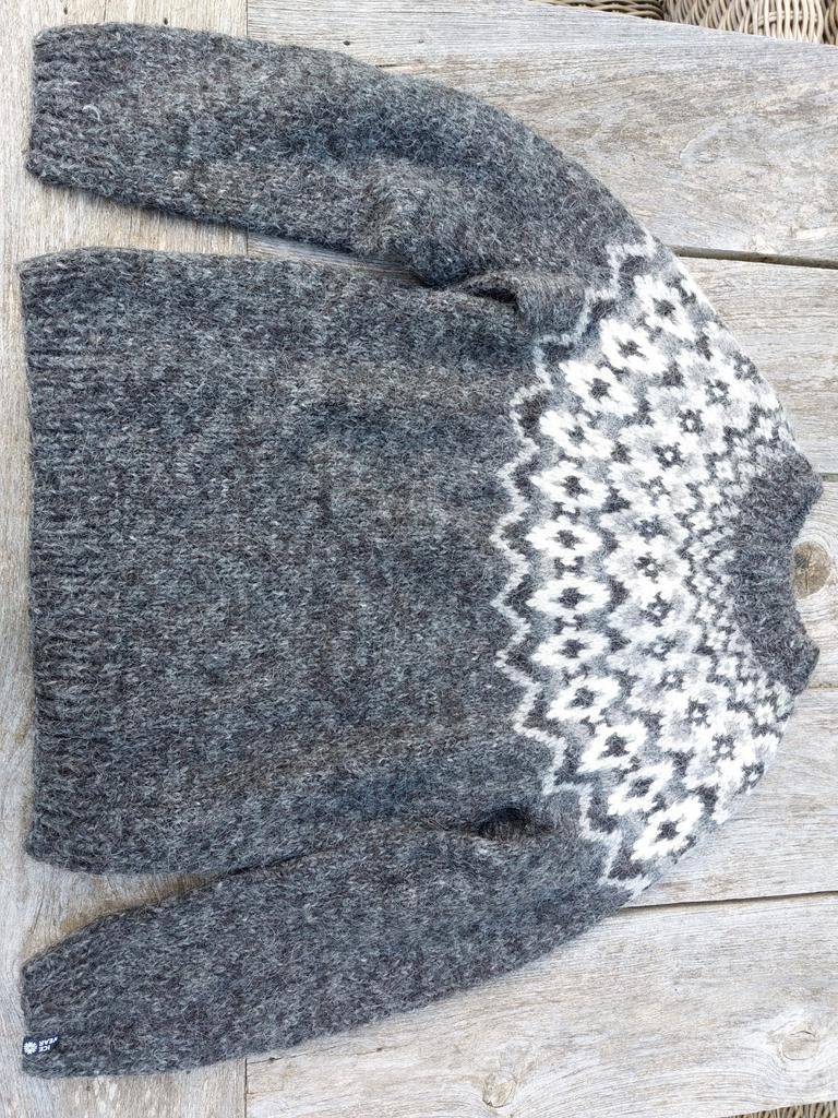 NIEUW: Icewear 100% wollen trui, Nieuw, Ophalen of Verzenden, Maat 46 (S) of kleiner, Icewear