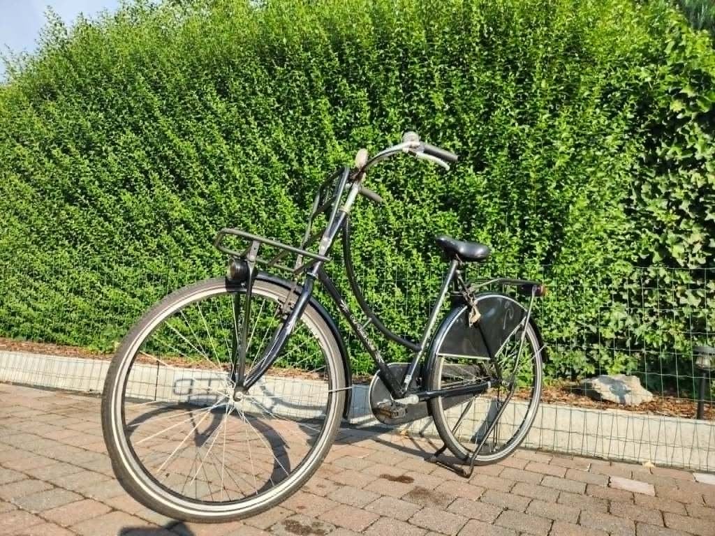 Bak / oma fiets, Vélos & Vélomoteurs, Enlèvement