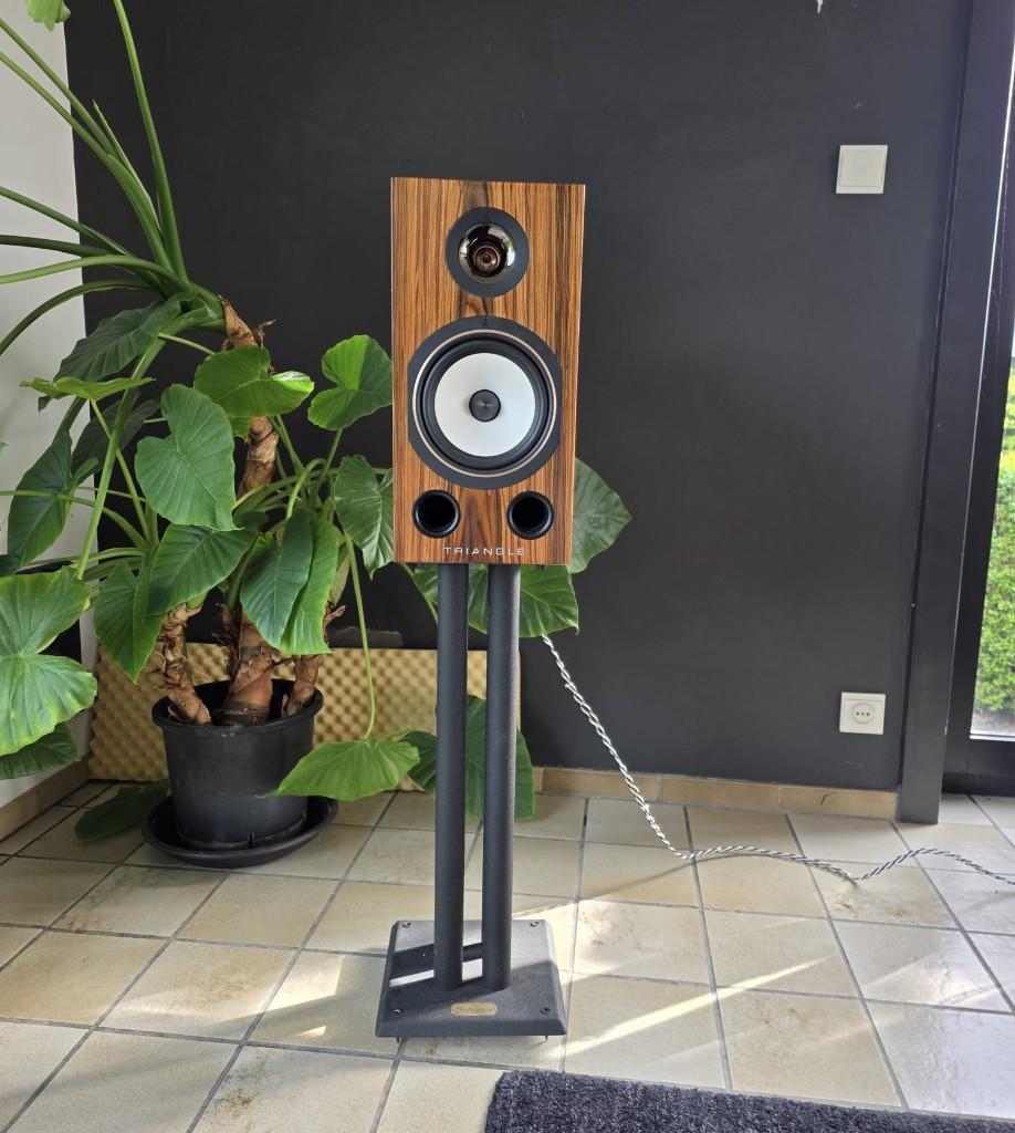 Triangle Comete 40th Anniversary, Audio, Tv en Foto, Luidsprekerboxen, Ophalen, Zo goed als nieuw, Front, Rear of Stereo speakers