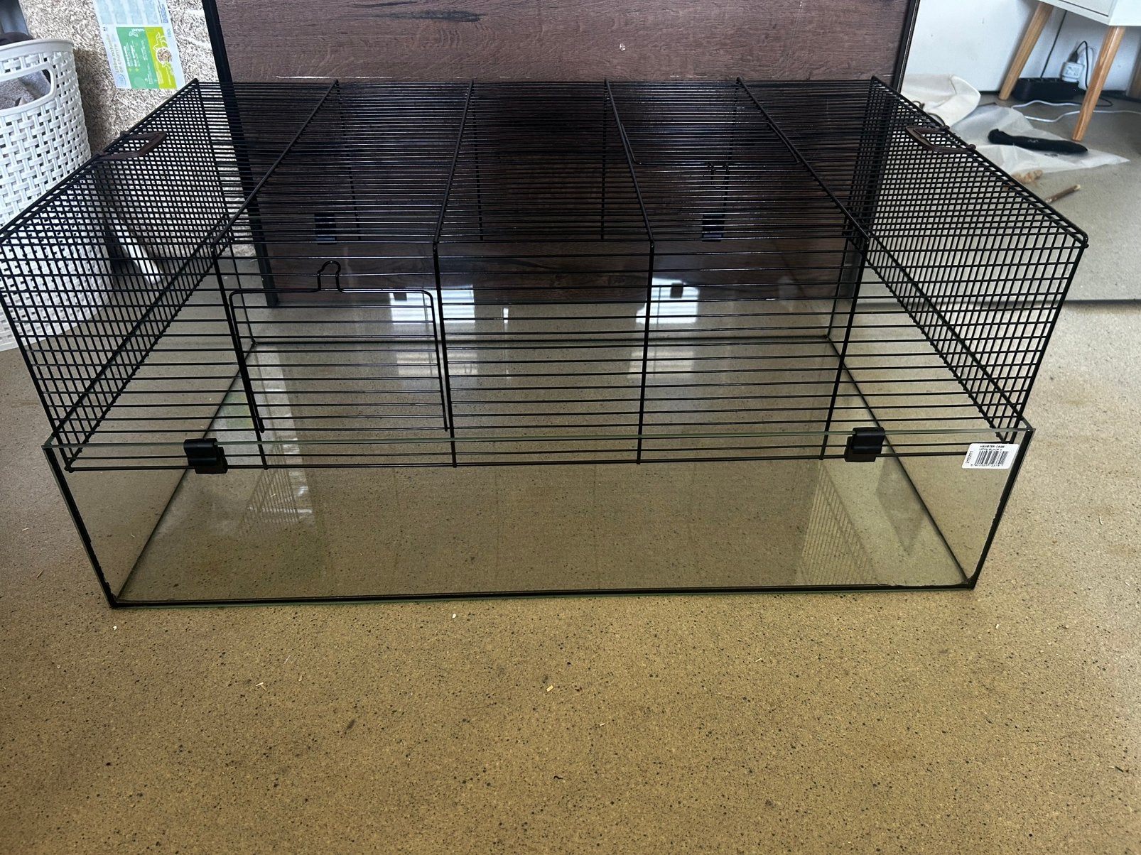 Cage rongeur en verre et barreaux, Kooi, Gebruikt, Muis, Minder dan 75 cm