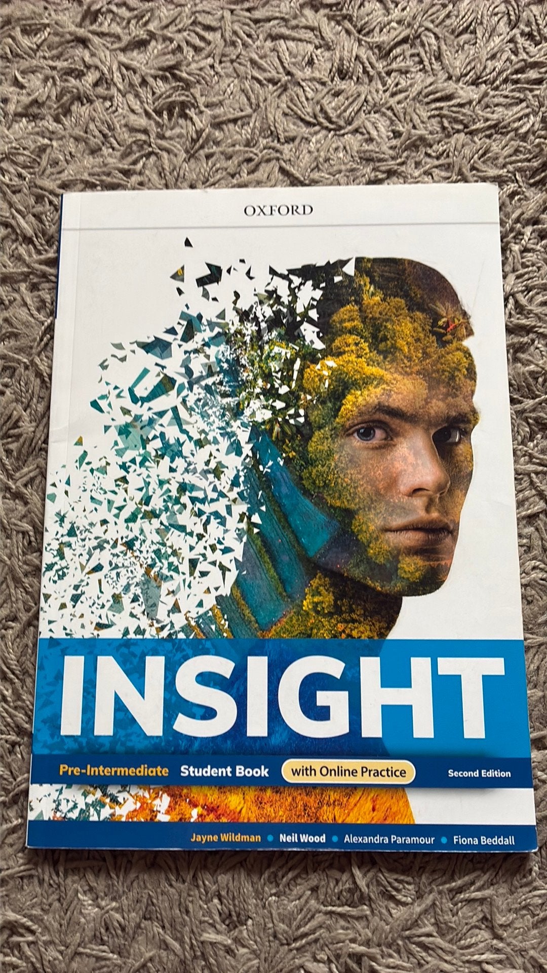 Insight Pre-Intermediate, Boeken, Schoolboeken, Ophalen, Zo goed als nieuw, ASO, Engels