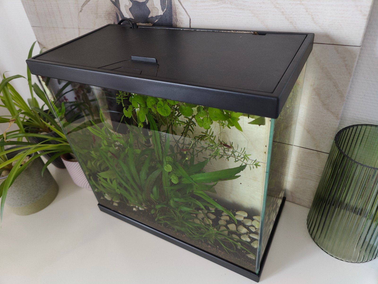 Aquarium 18L à vendre + filtre et pompe à chaleur (sans anim, Animaux & Accessoires, Enlèvement, Chauffage, Comme neuf, Filter