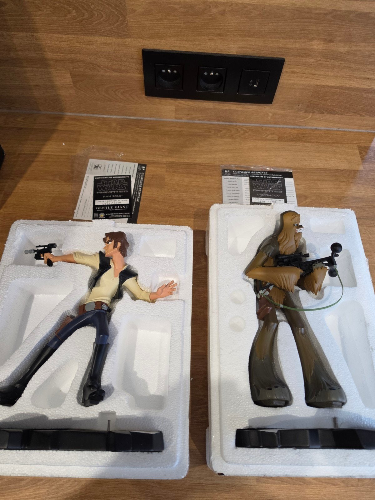 Starwars Han Solo en Chewbacca Gentle Giant, Ophalen