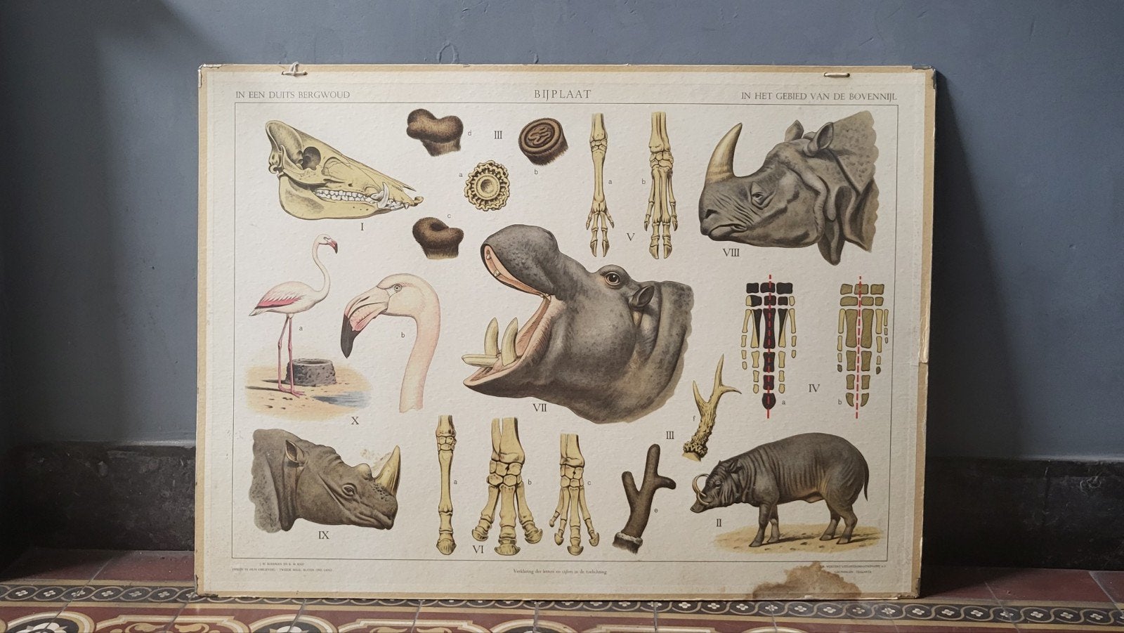 dubbelzijdige schoolplaat, Antiek en Kunst, Ophalen