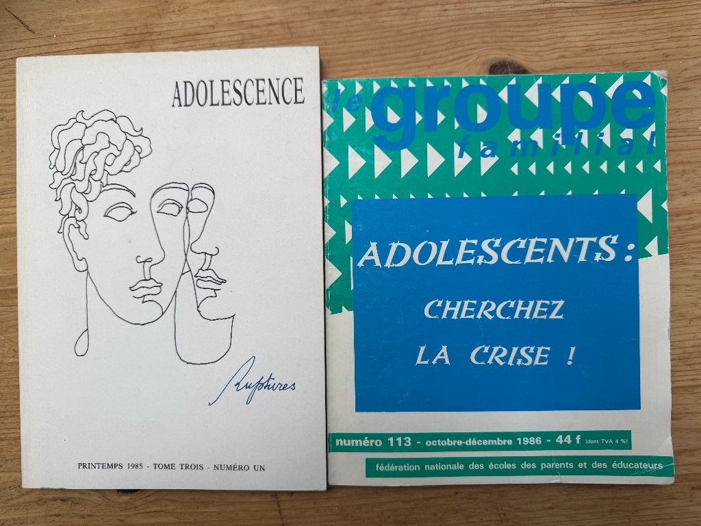 Adolescents : Cherchez la crise + Adolescence, lot 2 revues, Livres, Envoi