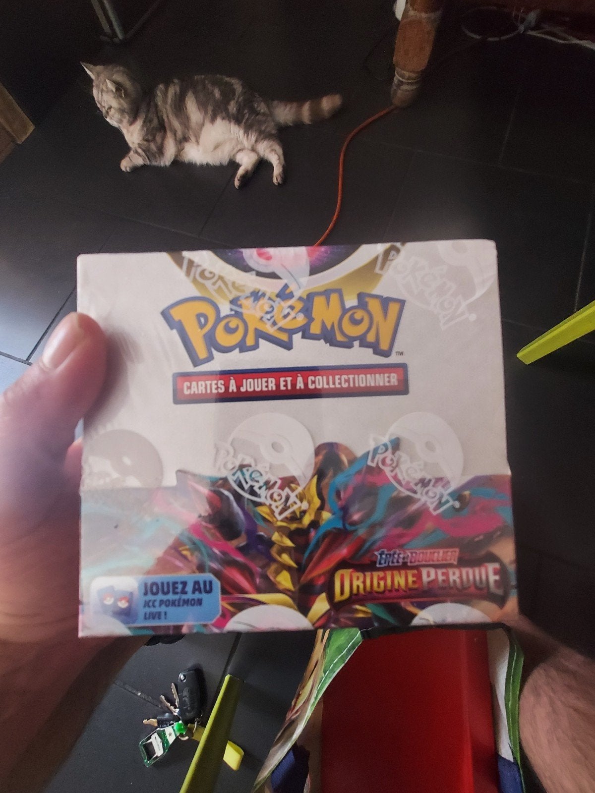 Pokemon  display  origine perdue, Enlèvement