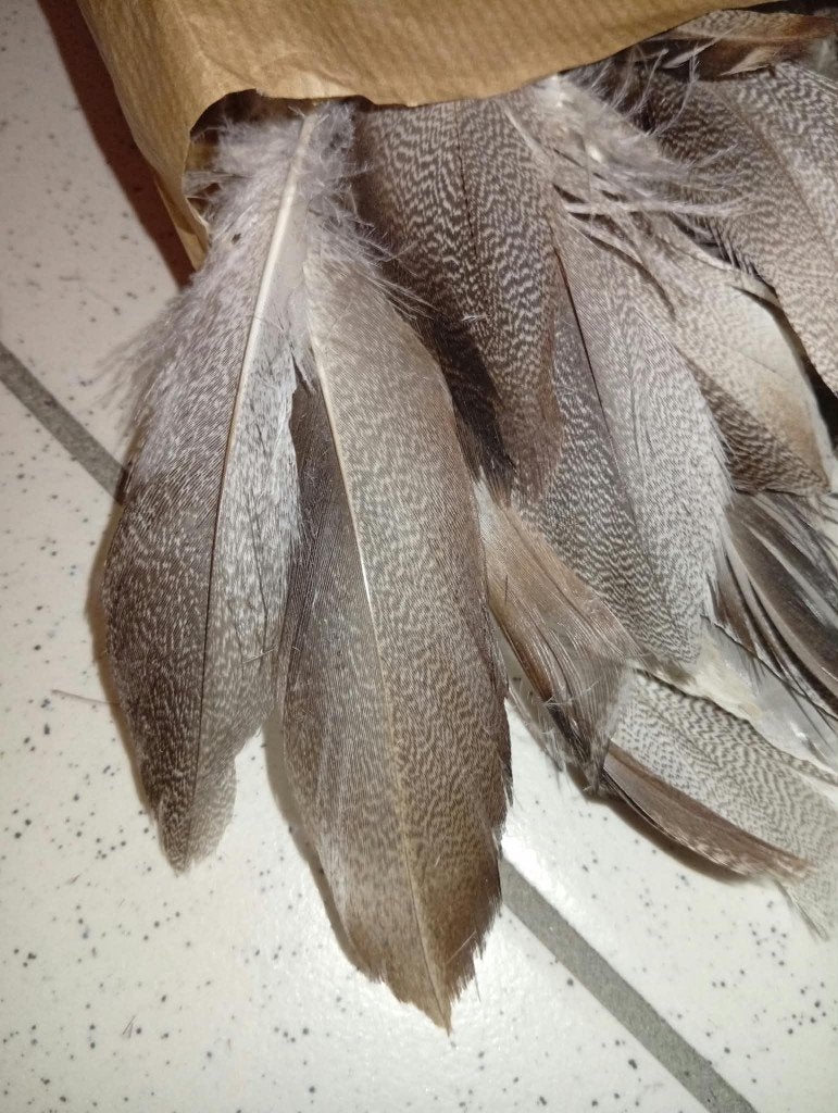 Lot de plumes pour créations diverses, Enlèvement, Comme neuf