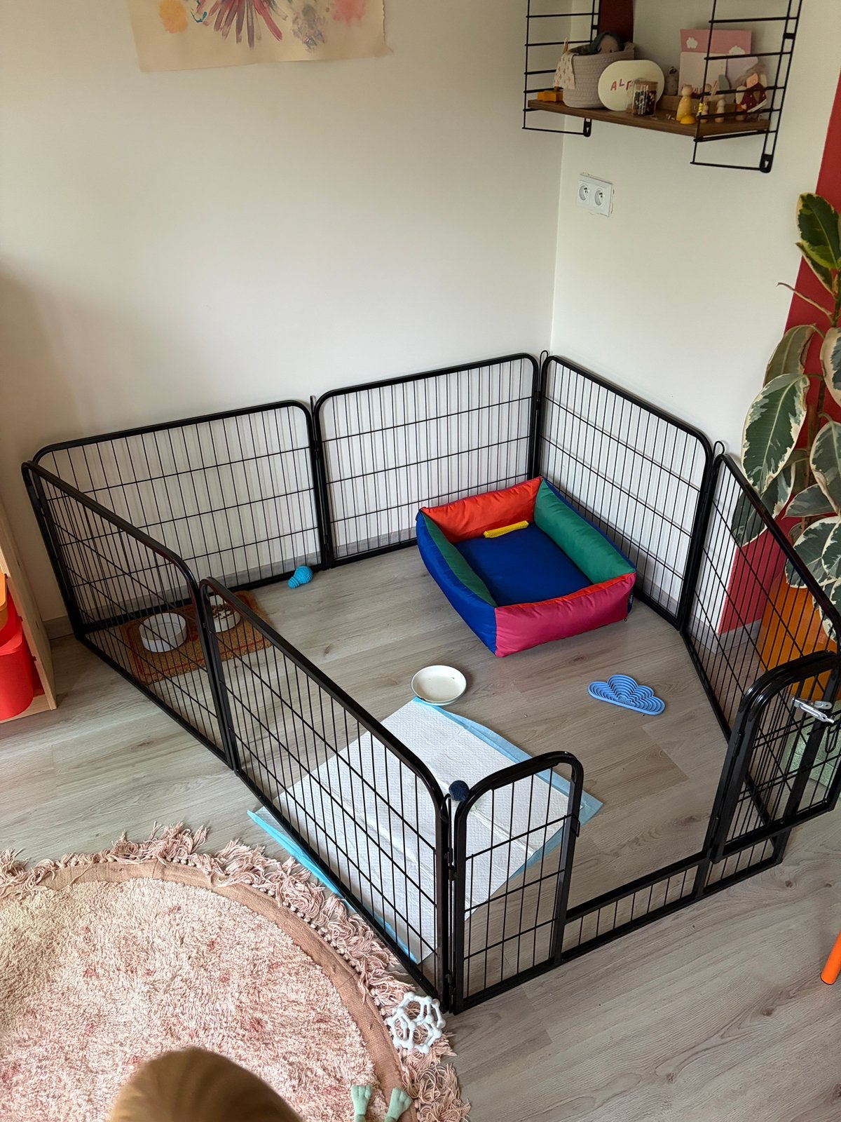 Puppyren Avalo 80x60 cm - omtrek 210 cm, Dieren en Toebehoren, Hondenhokken, Ophalen, Zo goed als nieuw