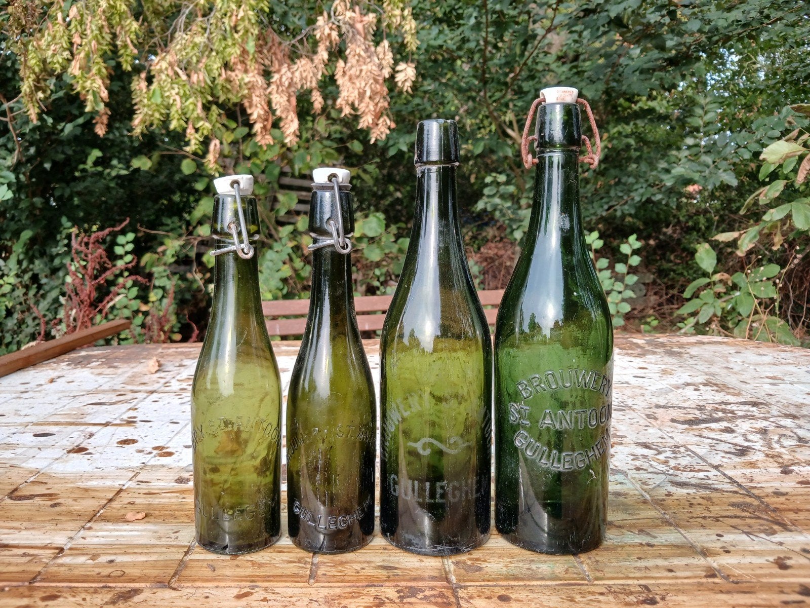 oude vintage bierflessen brouwerij Sint Antoon Gullegem, Verzamelen, Ophalen of Verzenden