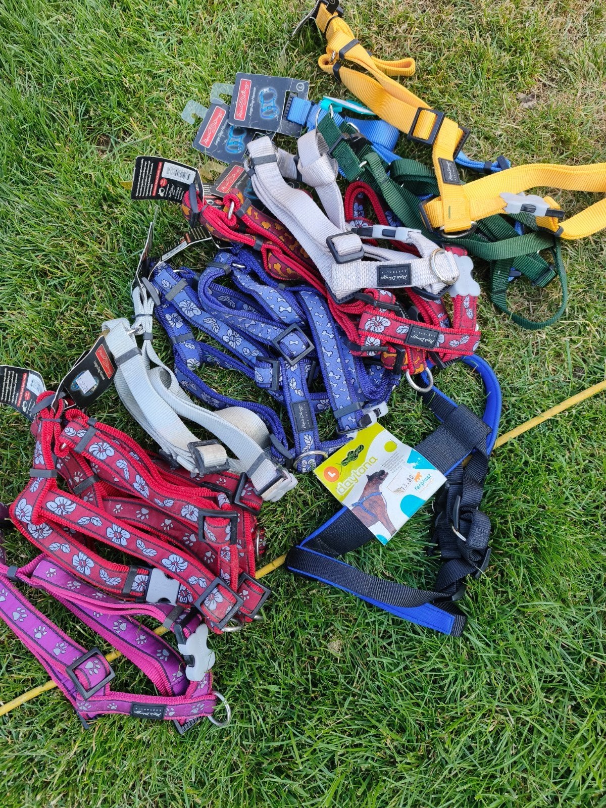 Groot lot honden accesoires, Enlèvement
