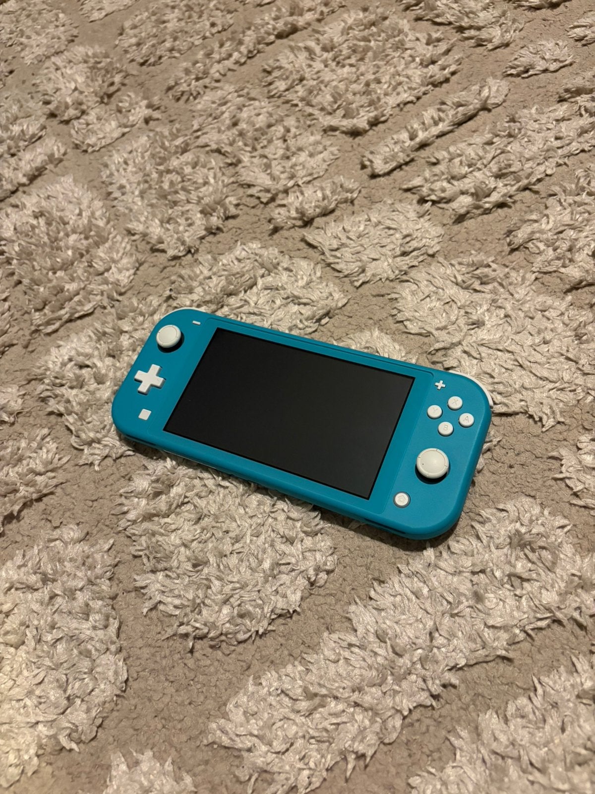 Nintendo Lite, Games en Spelcomputers, Ophalen of Verzenden, Turquoise, Nieuw, Met beschermhoes of tas