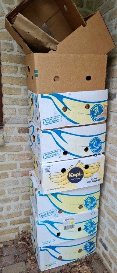 Bananendozen, Ophalen, Gebruikt, 50 tot 75 cm, Doos