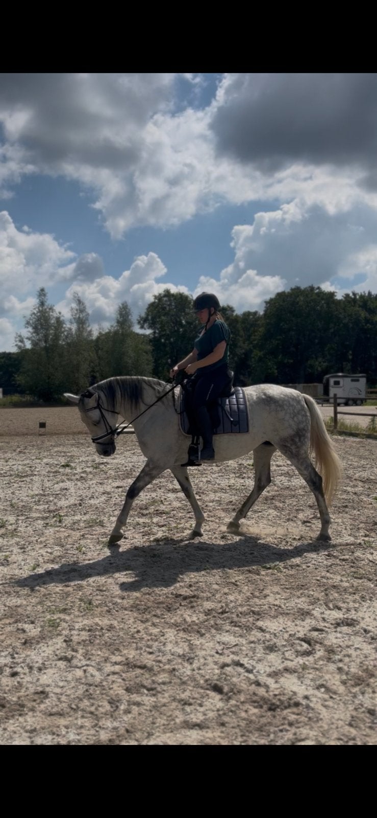Zeer leuke recreatie PRE merrie!, Merrie, Minder dan 160 cm, B, 7 tot 10 jaar