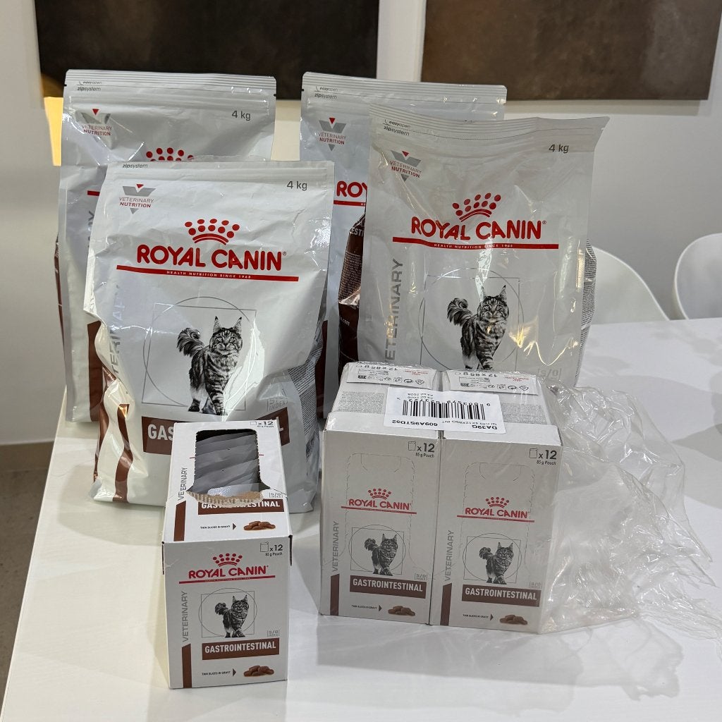Royal Canin Gastrointestinal Kat – Droogvoer & Natvoer, Ophalen, Kat