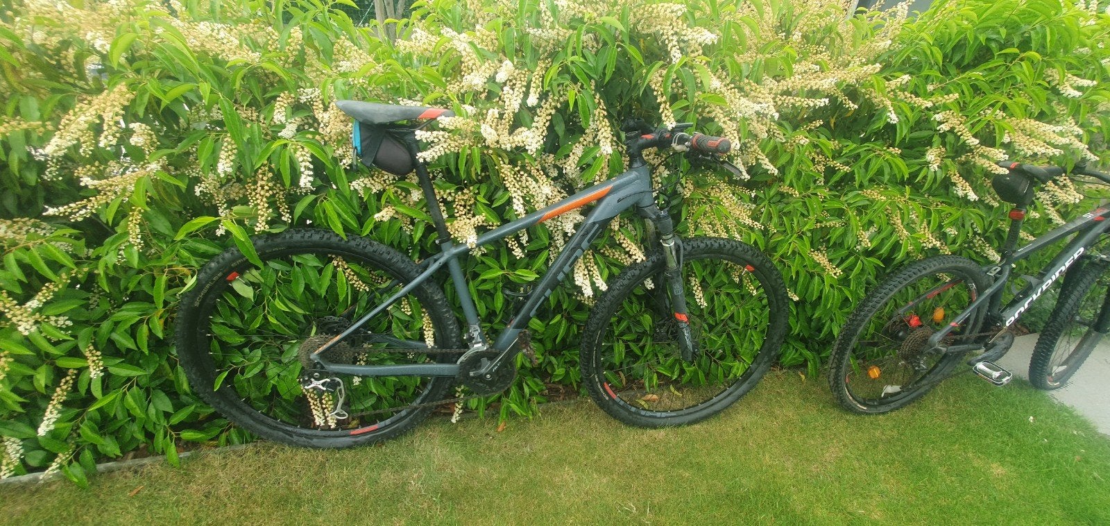 Cube VTT, Enlèvement