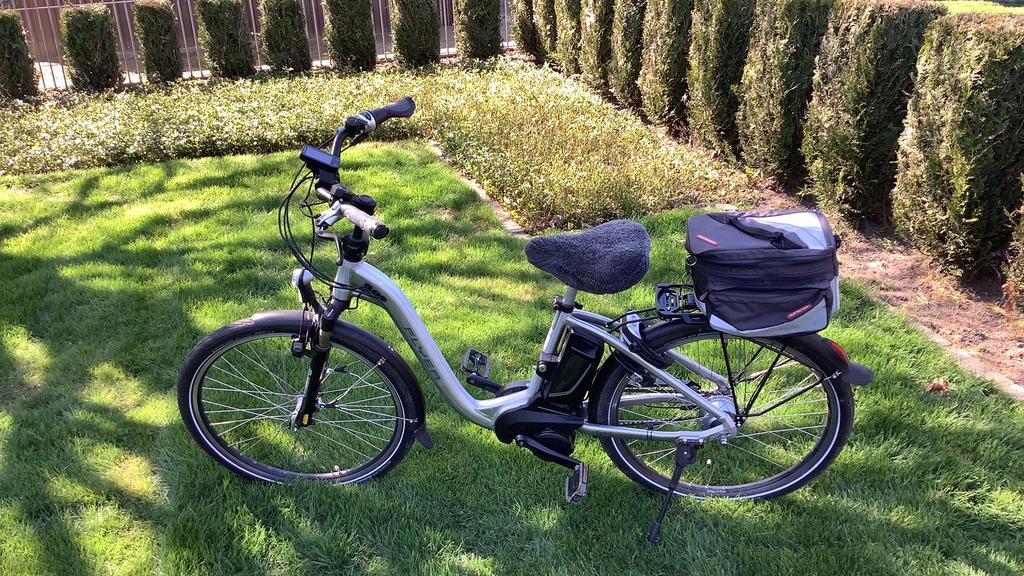 Elektrische vrouwenfiets Flyer, Ophalen, Zo goed als nieuw, 50 km per accu of meer