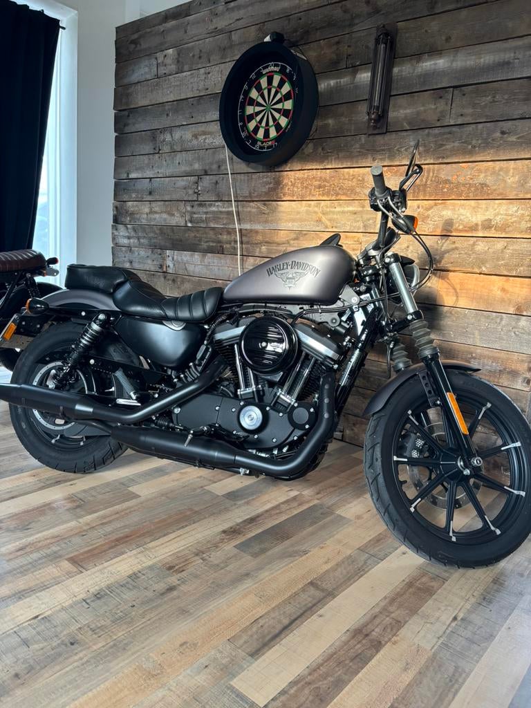 Harley-davidson iron 883, Particulier, Chopper