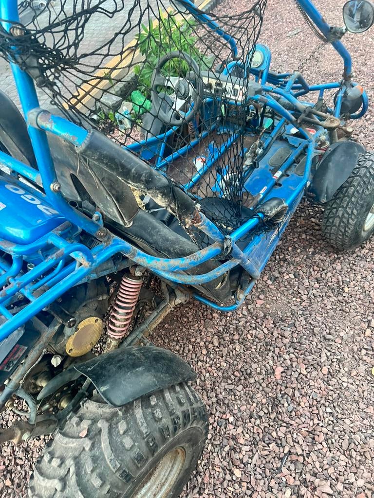 Buggy pgo 150, Motoren