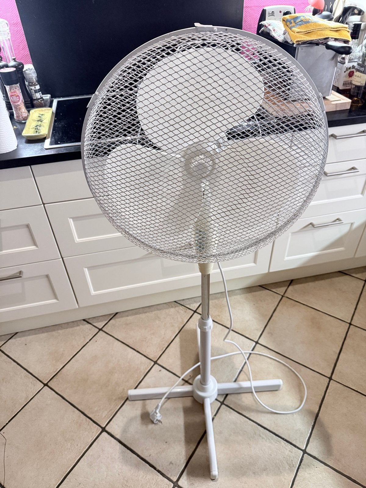 Ventilateur sur pied, Elektronische apparatuur, Ventilatoren, Ophalen, Gebruikt, Statiefventilator