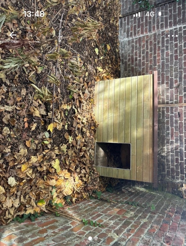 Hondenhok hout 142cmBx88Hx90D, Dieren en Toebehoren, Hondenhokken, Ophalen, Zo goed als nieuw, Hondenhok