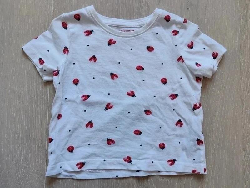 Primark t-shirt lieveheersbeestjes, Enfants & Bébés, Vêtements de bébé | Taille 86, Enlèvement ou Envoi, Comme neuf, Primark, Chemisette ou Manches longues