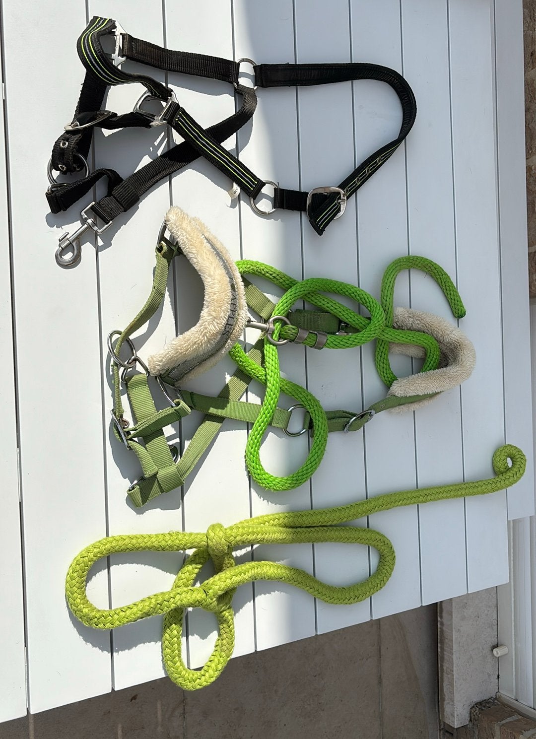Halsters maat cob, Dieren en Toebehoren, Ophalen, Gebruikt, Recreatie, Harry's Horse